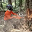 Corrente X-CUT para Motosserra Husqvarna 18